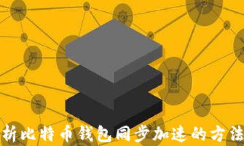 全面解析比特币钱包同步加速的方法与技巧