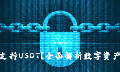 哪种钱包支持USDT?全面解析数字资产存储选择