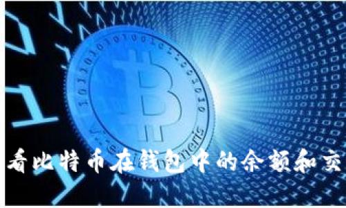 如何查看比特币在钱包中的余额和交易信息