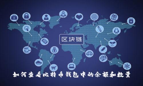 如何查看比特币钱包中的余额和数量