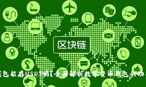 数字货币钱包能存USDT吗?全面解析数字货币钱包的功能与安全性