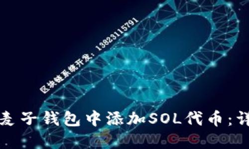如何在麦子钱包中添加SOL代币:详细指南