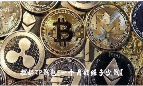 探秘TP钱包:一个月能赚多少钱?