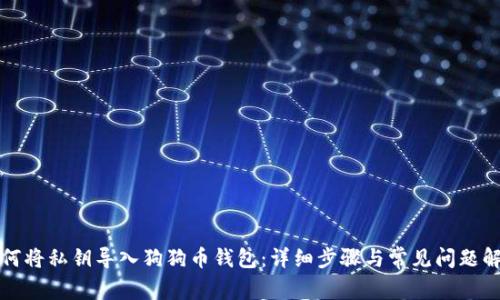 如何将私钥导入狗狗币钱包:详细步骤与常见问题解答