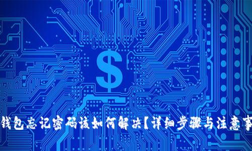 TP钱包忘记密码该如何解决?详细步骤与注意事项