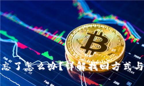 TP钱包助记词忘了怎么办?详解找回方式与安全注意事项