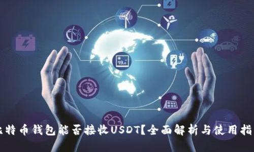 比特币钱包能否接收USDT?全面解析与使用指南