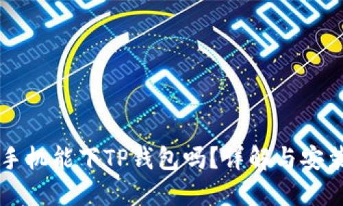 苹果手机能下TP钱包吗?详解与安装指南