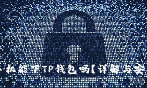 苹果手机能下TP钱包吗?详解与安装指南
