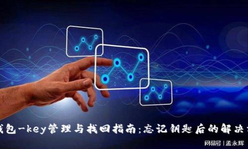 TP钱包-key管理与找回指南:忘记钥匙后的解决方案
