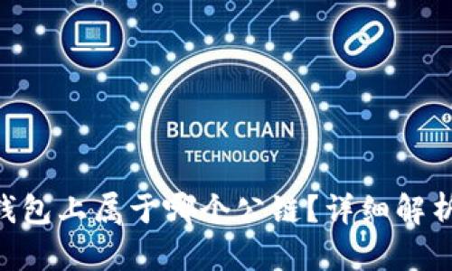 : File在TP钱包上属于哪个公链?详细解析与使用指南