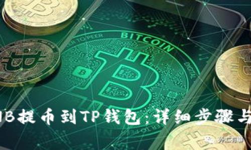 如何将BNB提币到TP钱包:详细步骤与注意事项