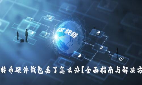 比特币硬件钱包丢了怎么办?全面指南与解决方案