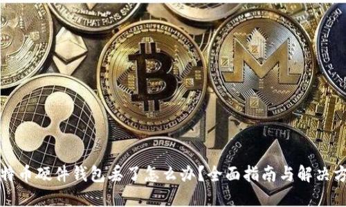 比特币硬件钱包丢了怎么办?全面指南与解决方案