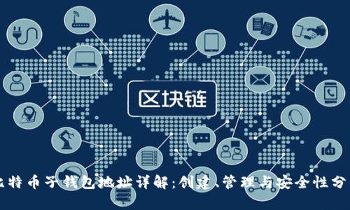 比特币子钱包地址详解:创建、管理与安全性分析