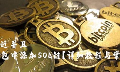 思考一个贴近并且
如何在TP钱包中添加SOL链?详细教程与常见问题解答