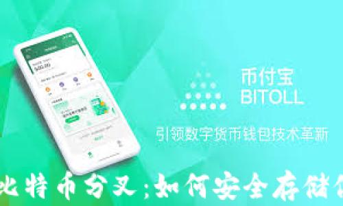 深入解析比特币分叉:如何安全存储你的比特币