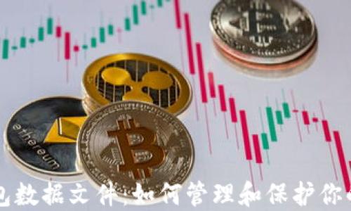 比特币钱包数据文件:如何管理和保护你的数字资产