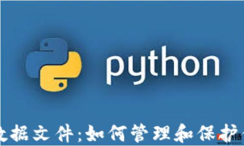 比特币钱包数据文件:如何管理和保护你的数字资产