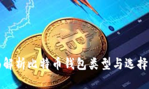 全面解析比特币钱包类型与选择指南