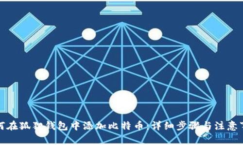 如何在狐狸钱包中添加比特币:详细步骤与注意事项