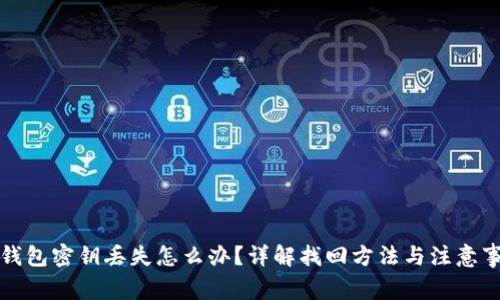 TP钱包密钥丢失怎么办?详解找回方法与注意事项