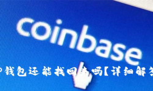 手机掉了,TP钱包还能找回来吗?详细解答与实用指南