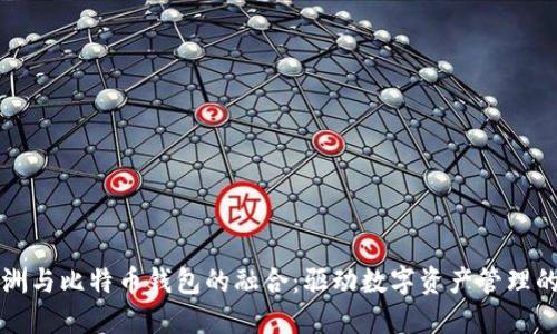 百度绿洲与比特币钱包的融合:驱动数字资产管理的新时代