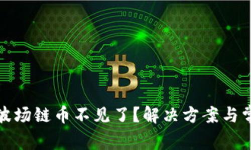 TP钱包中的波场链币不见了?解决方案与常见问题详解