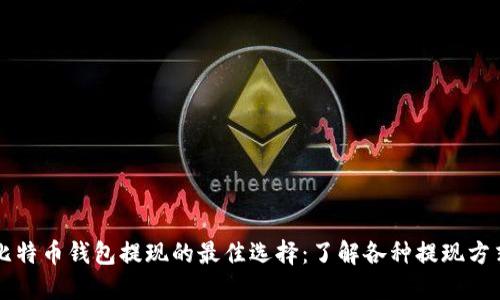 比特币钱包提现的最佳选择：了解各种提现方式