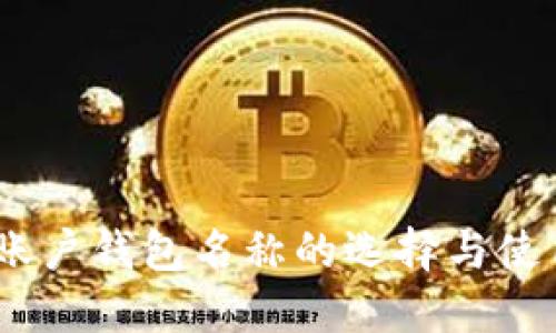 USDT账户钱包名称的选择与使用指南