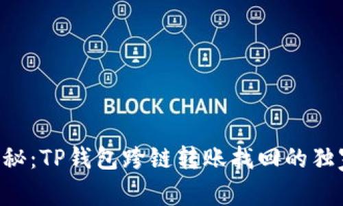 专家揭秘：TP钱包跨链转账找回的独家秘诀！