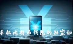 专家解读：手机比特币钱包的独家秘诀，安全吗