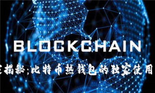 专家揭秘：比特币热钱包的独家使用秘诀