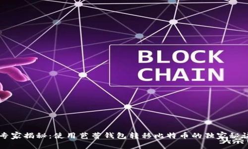 专家揭秘：使用芭蕾钱包转移比特币的独家秘诀