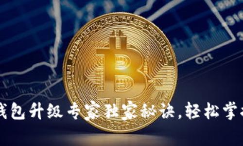 比特币QT钱包升级专家独家秘诀，轻松掌握升级技巧