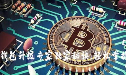 比特币QT钱包升级专家独家秘诀，轻松掌握升级技巧
