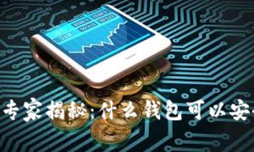 2023年独家专家揭秘：什么钱包可以安全存储SHIB？