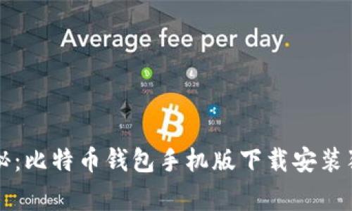 专家揭秘:比特币钱包手机版下载安装独家秘诀