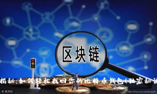 专家揭秘:如何轻松找回你的比特币钱包!独家秘诀分享