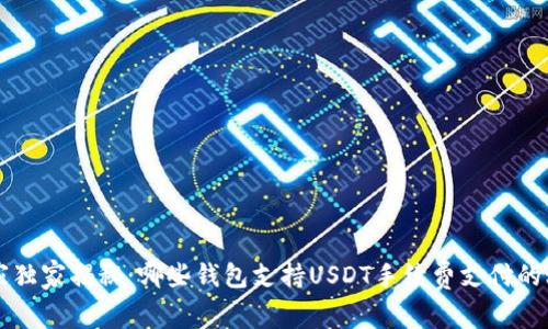 专家独家揭秘:哪些钱包支持USDT手续费支付的秘诀