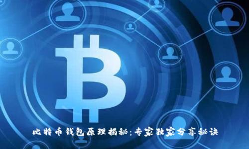 比特币钱包原理揭秘:专家独家分享秘诀