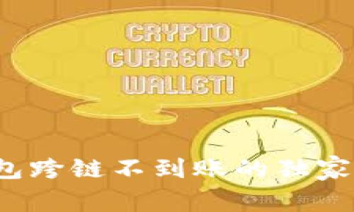 专家揭秘：TP钱包跨链不到账的独家秘诀与解决方案