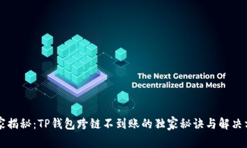 专家揭秘：TP钱包跨链不到账的独家秘诀与解决方案
