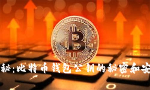 专家独家揭秘:比特币钱包公钥的秘密和安全使用秘诀