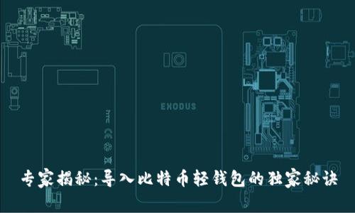 专家揭秘:导入比特币轻钱包的独家秘诀