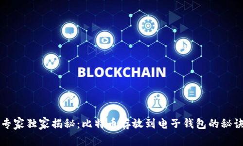 专家独家揭秘:比特币存放到电子钱包的秘诀