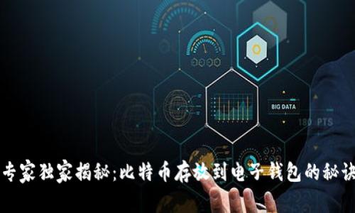 专家独家揭秘:比特币存放到电子钱包的秘诀