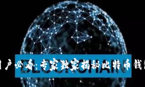 AMD电脑用户必看:专家独家揭秘比特币钱包下载秘诀