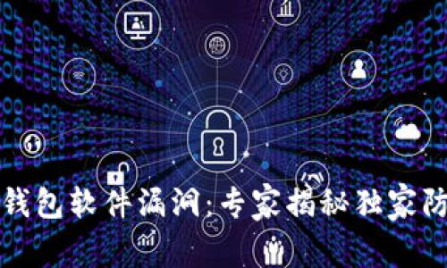 比特币钱包软件漏洞：专家揭秘独家防护秘诀